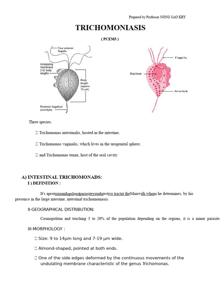 Trichomoniasis Course 5 3rd 12 | PDF | Vagina | Public Health