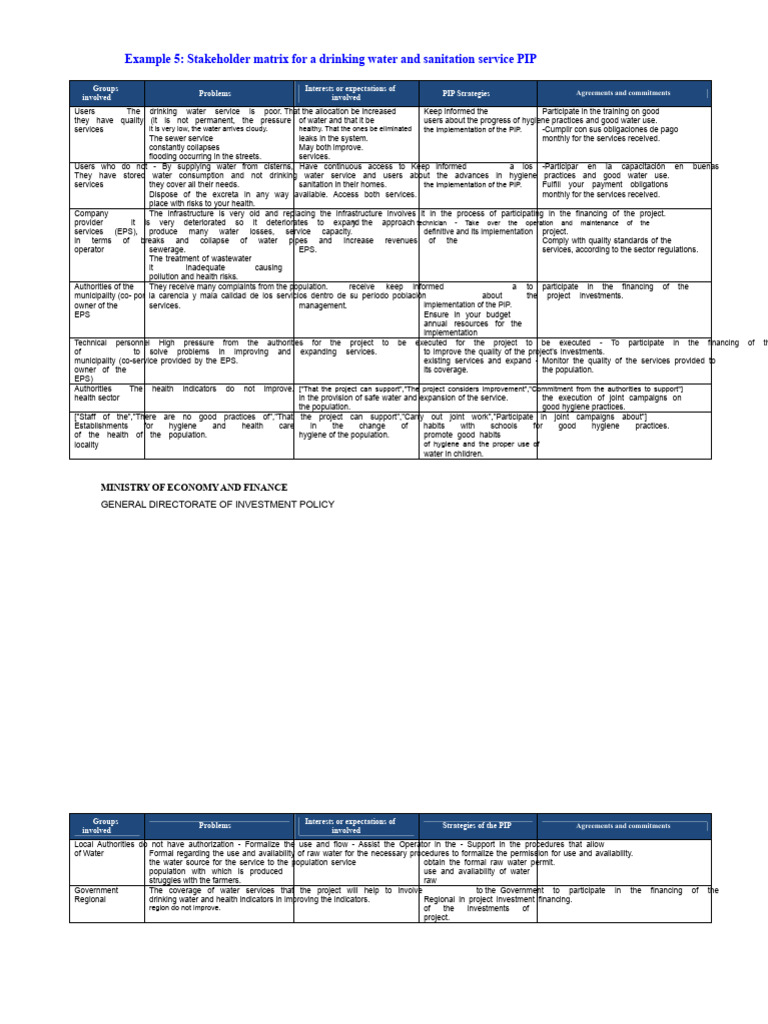 Example 5 - Stakeholder Matrix | PDF | Drinking Water | Sanitation