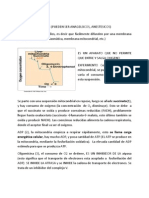 Por: José Sánchez Los Desacopladores (Pueden Ser Anagelsicos, Anestesicos)