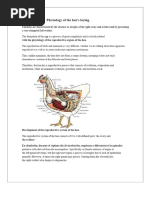 Duck Reproductive Anatomy Overview | PDF | Testicle | Ovary