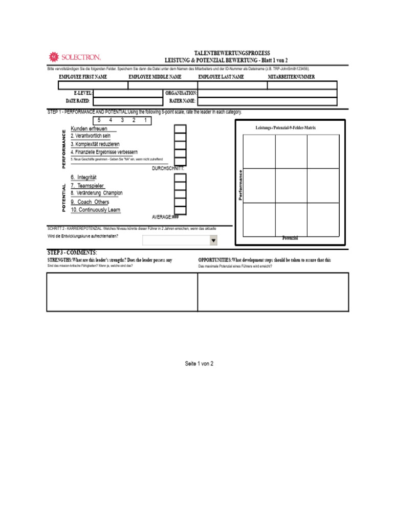 Talent Review Prozessvorlage | PDF