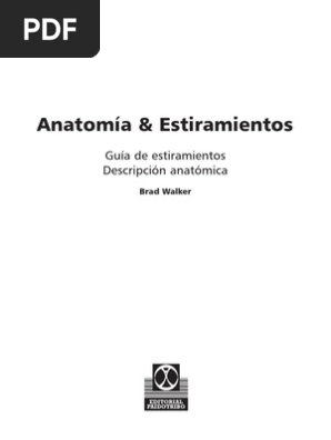 Anatomia Estiramientos Hombro Sistema Musculoesqueletico