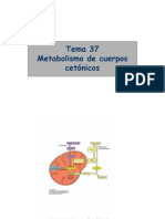 Metabolismo Cuerpos Cetonicos t37 Bq2