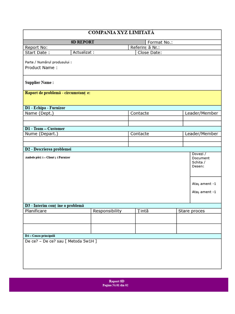 8D Raport Format | PDF