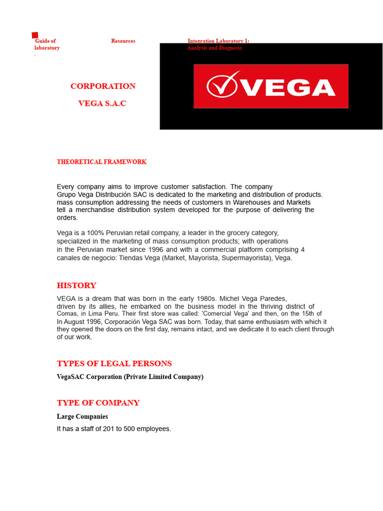 Vega S.A.C: Company Overview & Mission | PDF | Retail | Marketing