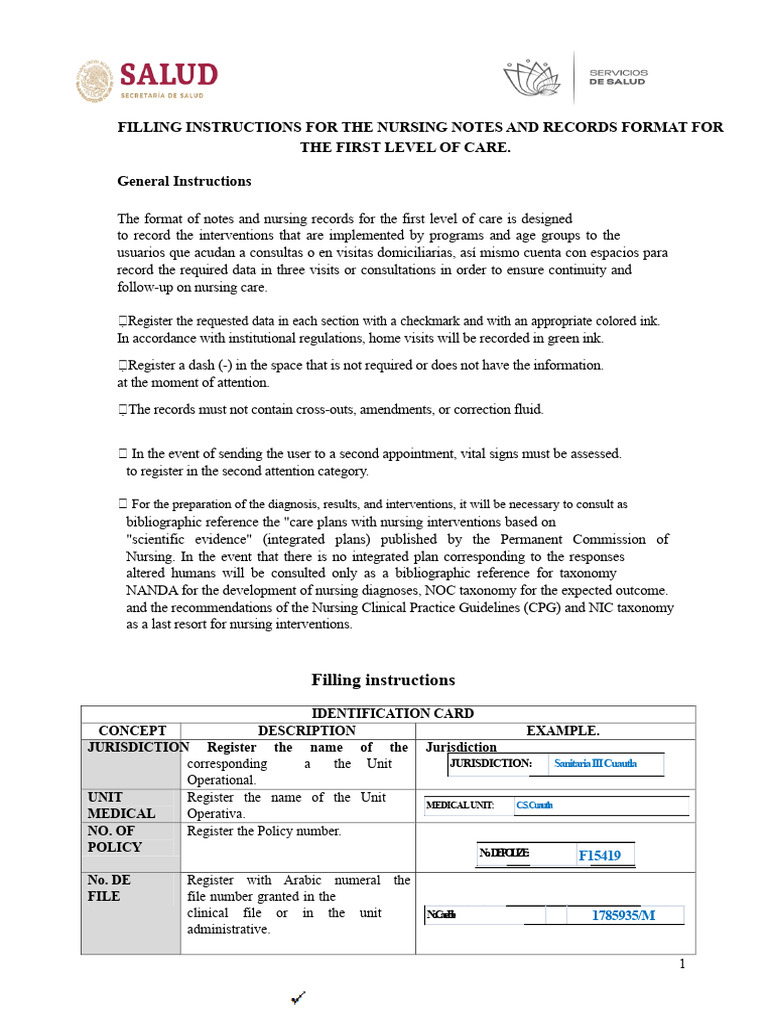 Nursing Notes Format Instructions | PDF | Nursing | Health Sciences