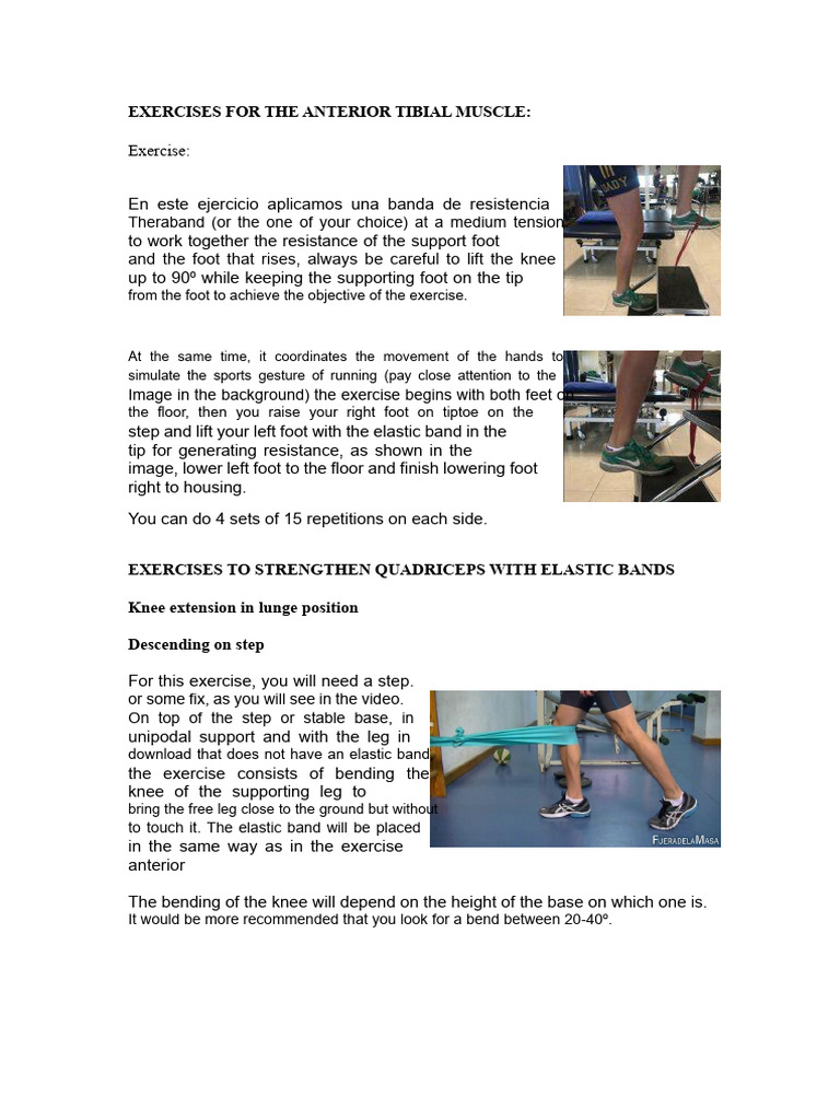 Exercises For The Anterior Tibial Muscle | PDF | Knee | Shoulder