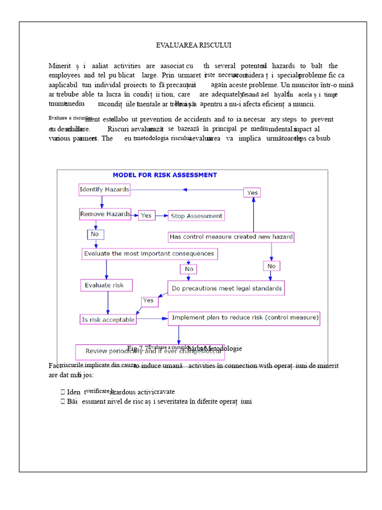 Evaluarea Riscurilor În Minerit | PDF