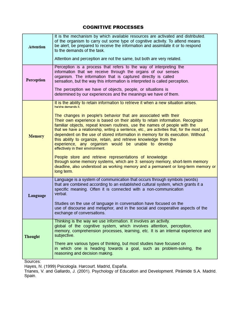 The Cognitive Processes | PDF | Perception | Information