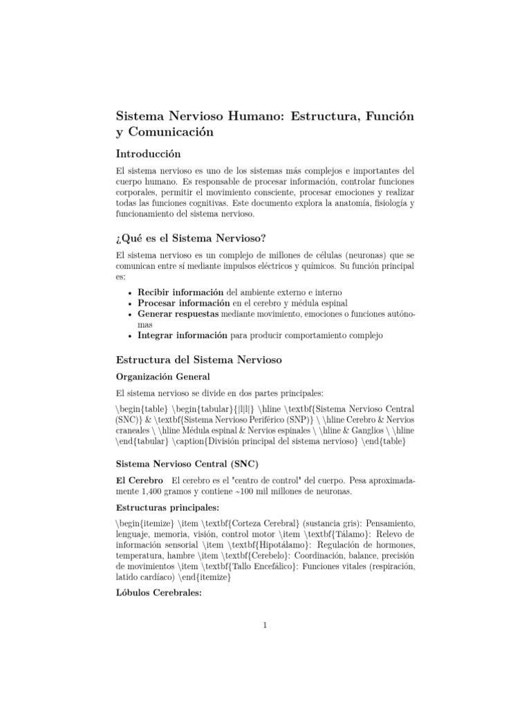 Estructura y Función del Sistema Nervioso | PDF | Neurona | Sinapsis