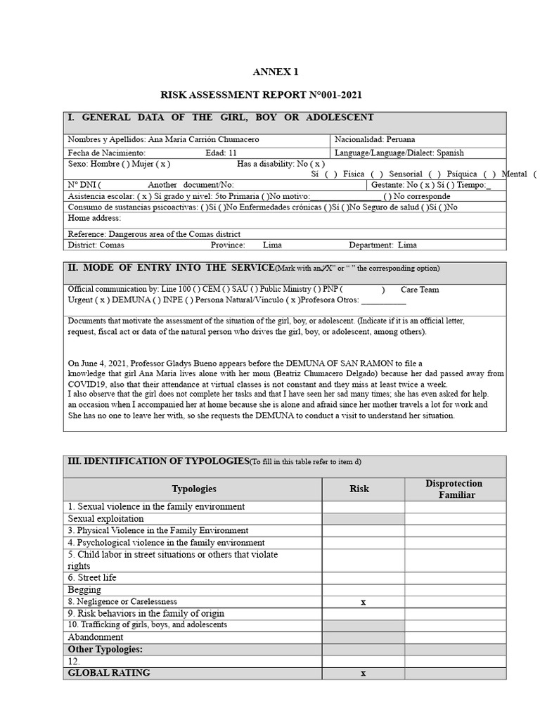 Risk Assessment Report for Child Welfare | PDF | Adolescence | Violence
