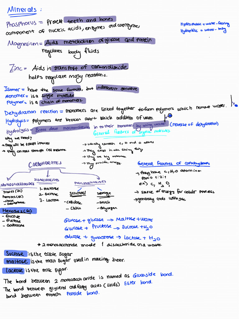 Bio 9 | PDF