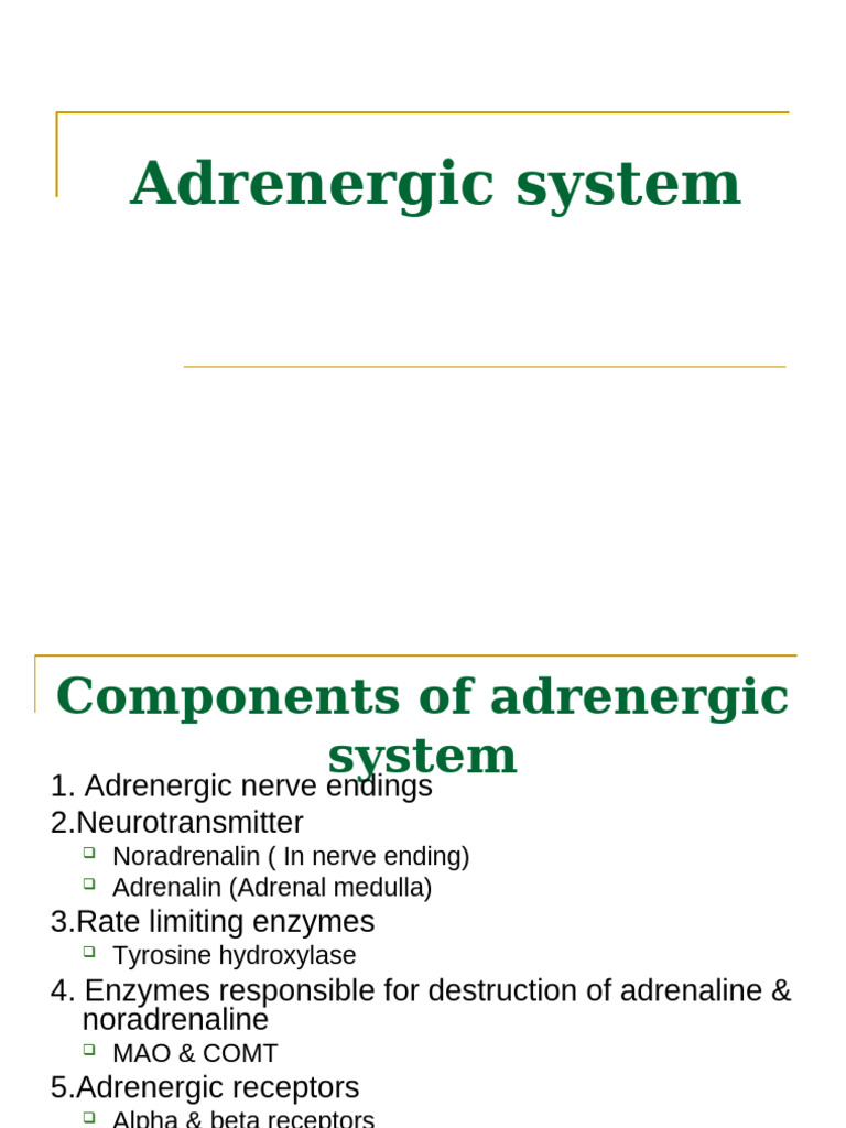 Sympathetic System and Sympathomymetic Drugs | PDF | Norepinephrine ...