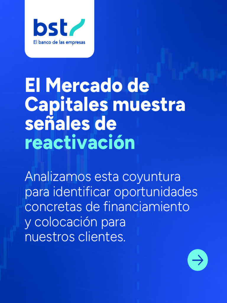 Oportunidades en el Mercado de Capitales | PDF