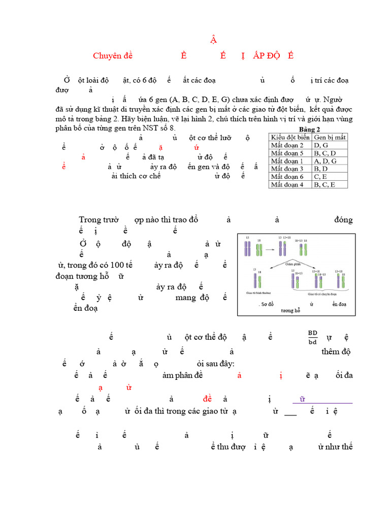 2 Bt Chuyên Đề 2 Nst Dap an Lan 1 | PDF