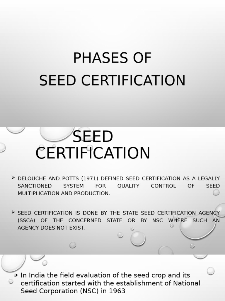 Seed Certification | PDF | Plant Breeding | Seed