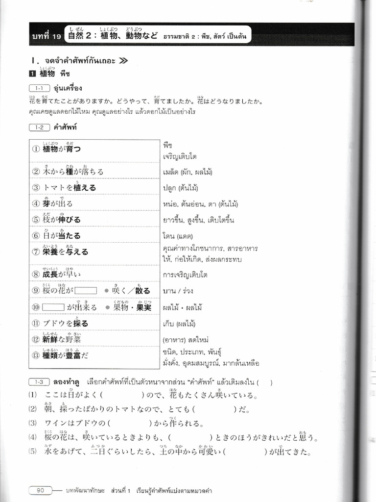 語彙N3 1920 | PDF