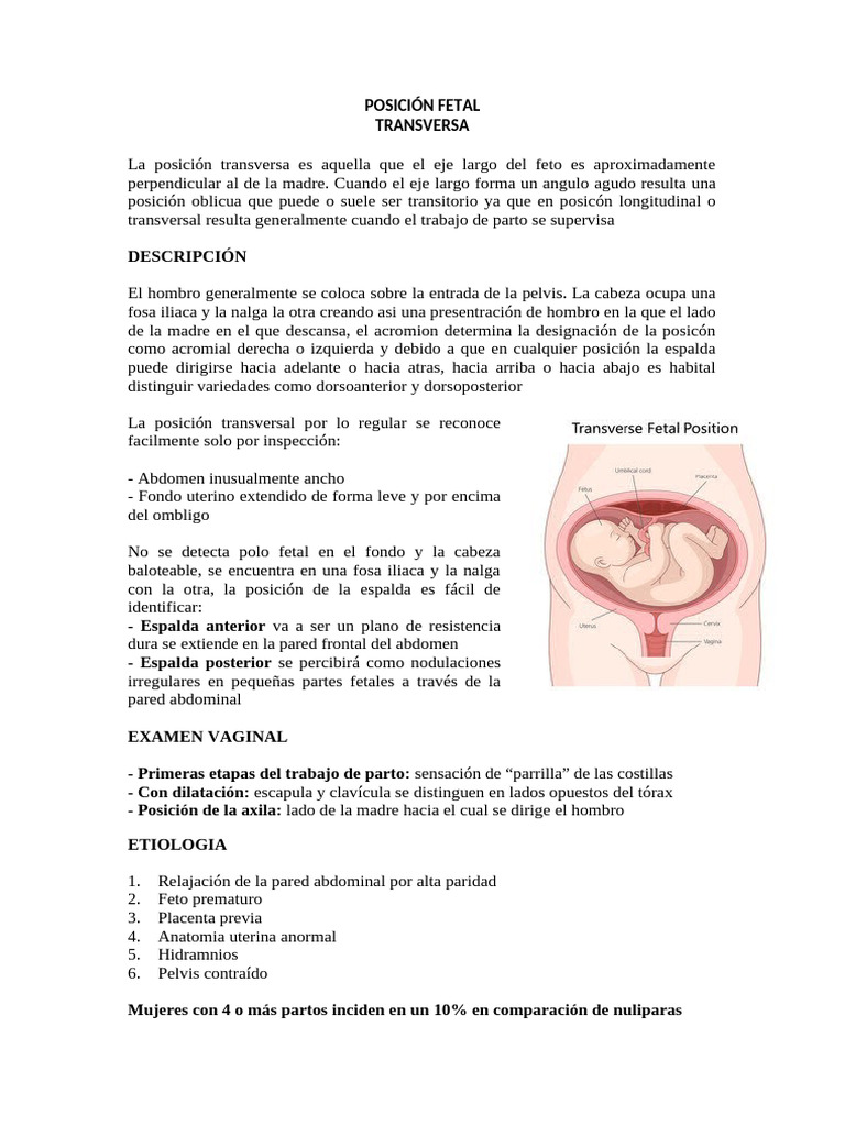 Posición fetal transversa: causas y manejo | PDF | Parto | Hombro