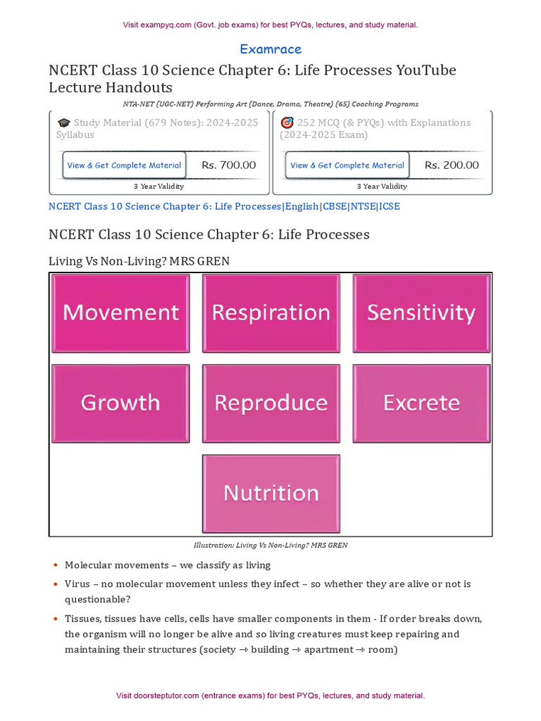 NCERT Class 10 Science: Life Processes | PDF | Digestion | Heart