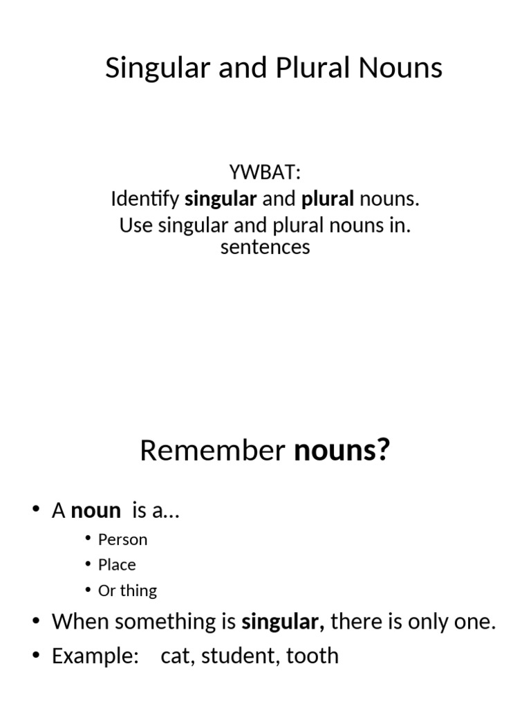 Singular and Plural Nouns Guide | PDF