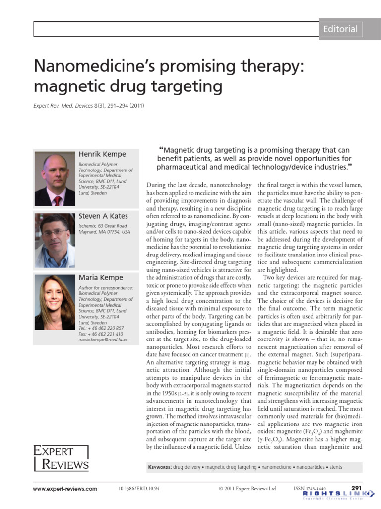 Magnetic Drug Targeting in Nanomedicine | PDF | Nanomedicine | Stent