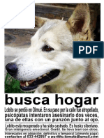 lobito afiche