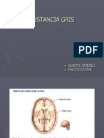 SUSTANCIA GRIS (1)