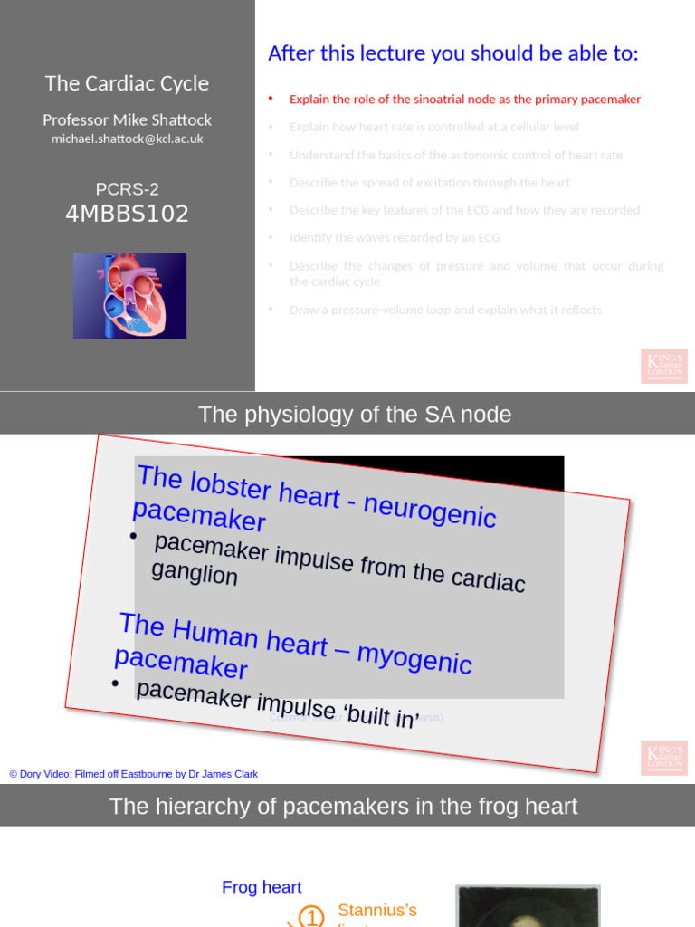 Understanding the Cardiac Cycle | PDF | Heart Valve | Diastole