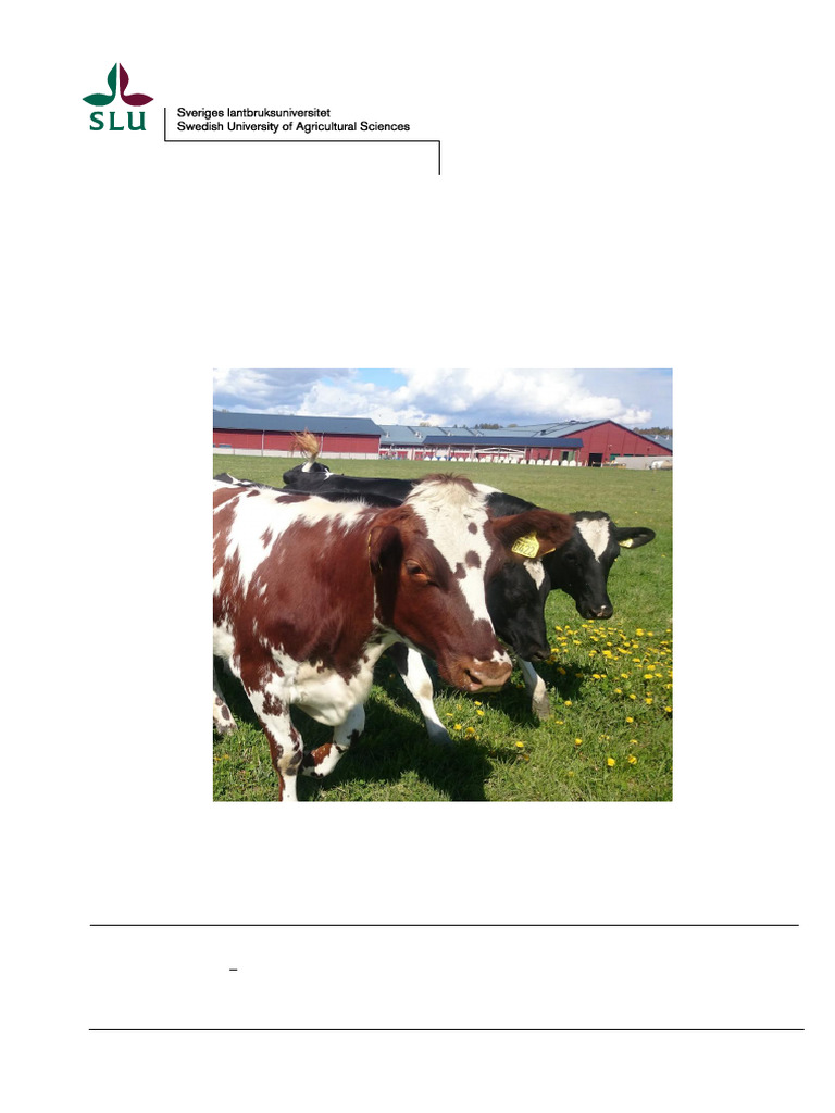 DCAD's Effect on Dairy Cow Milk Yield | PDF | Chloride | Milk