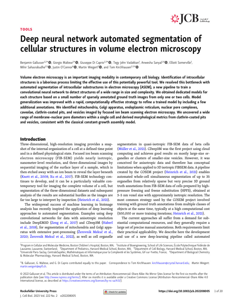Deep Learning for Cell Structure Segmentation | PDF | Image ...