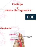 Esófago y Hernia Diafragmática!