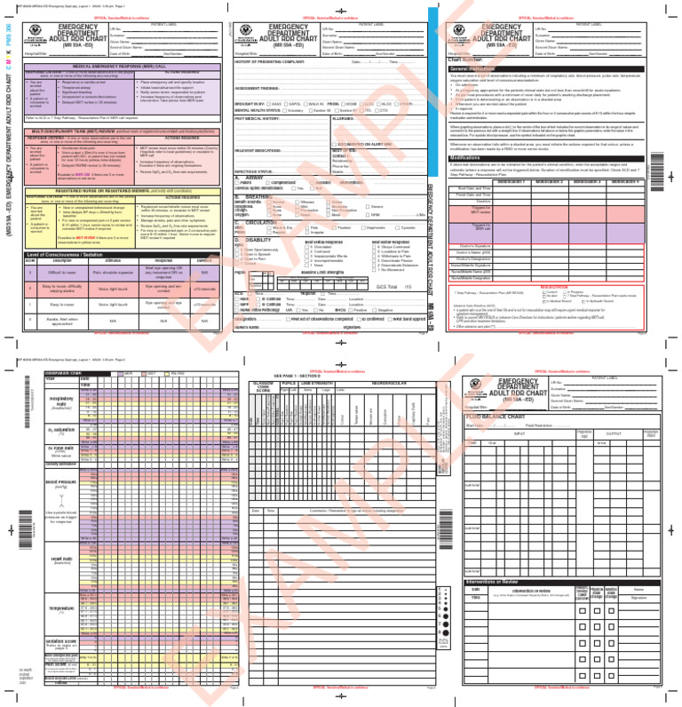 Emergency Department Adult RDR Chart | PDF | Emergency Department ...