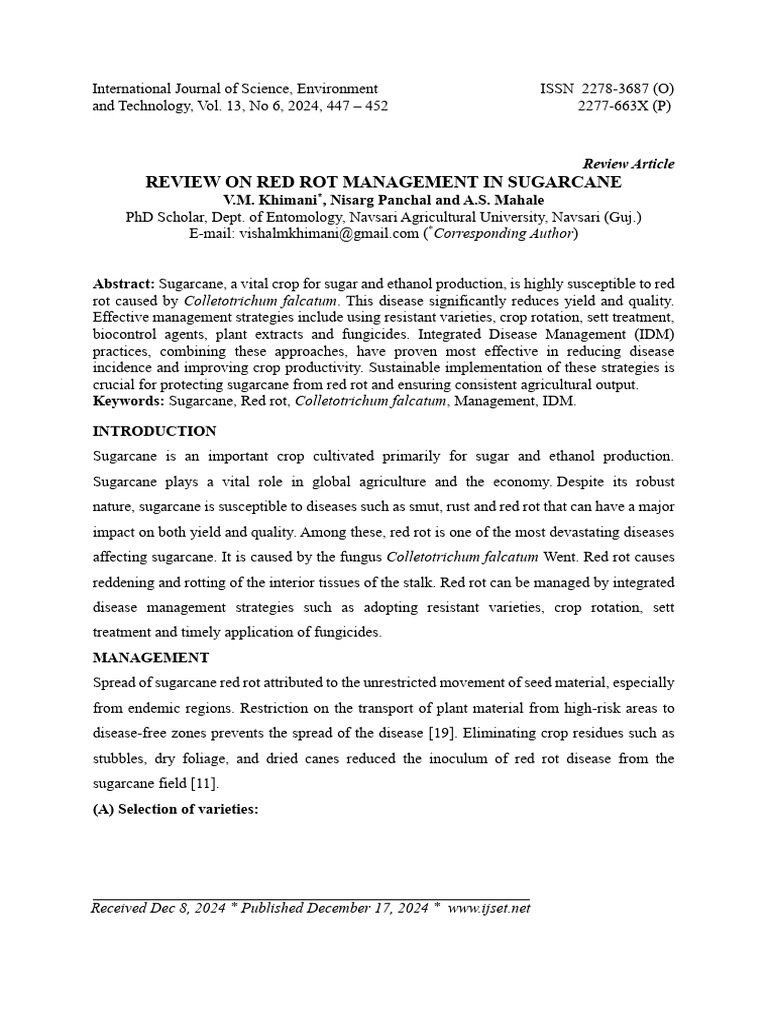 Red Rot Management in Sugarcane | PDF | Sugarcane | Pseudomonas