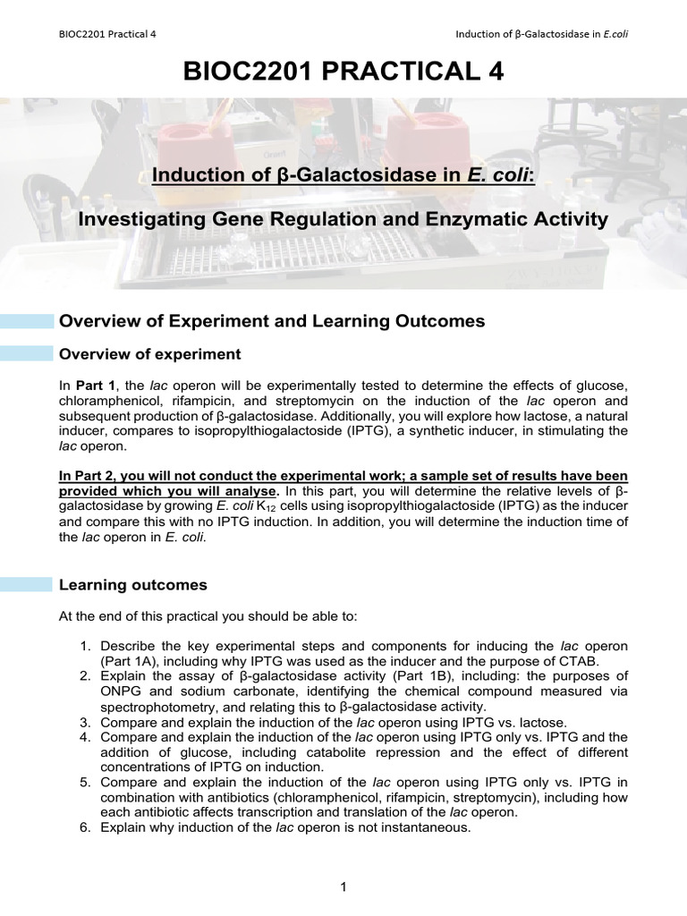 Bioc2201 Practical 4 Week 5 2025 Student Notes | PDF | Molecular ...