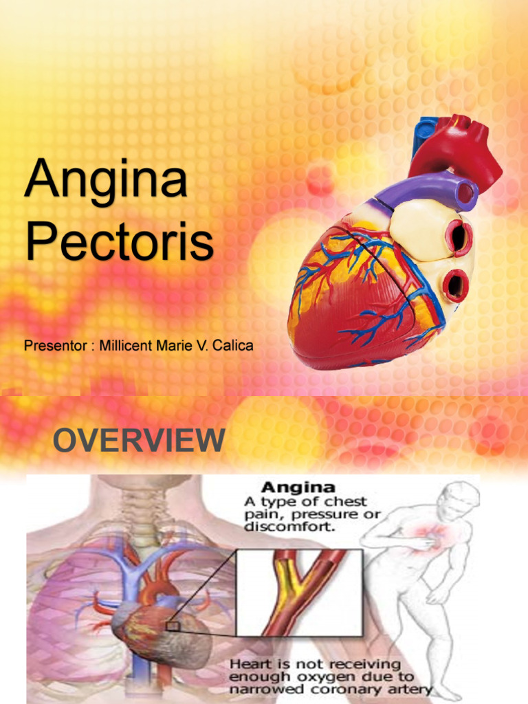 Ischemic Heart Disease Overview | PDF