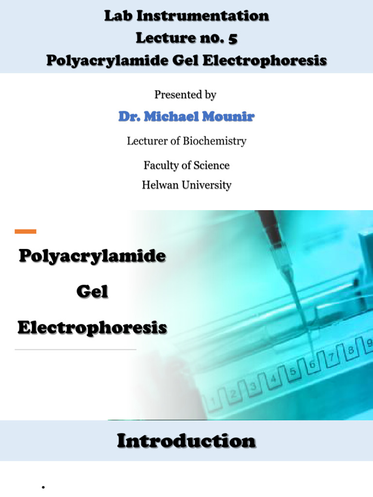 Polyacrylamide Gel Electrophoresis Guide | PDF | Polyacrylamide Gel ...