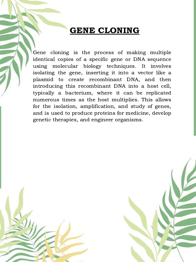 Biology | PDF | Molecular Cloning | Plasmid