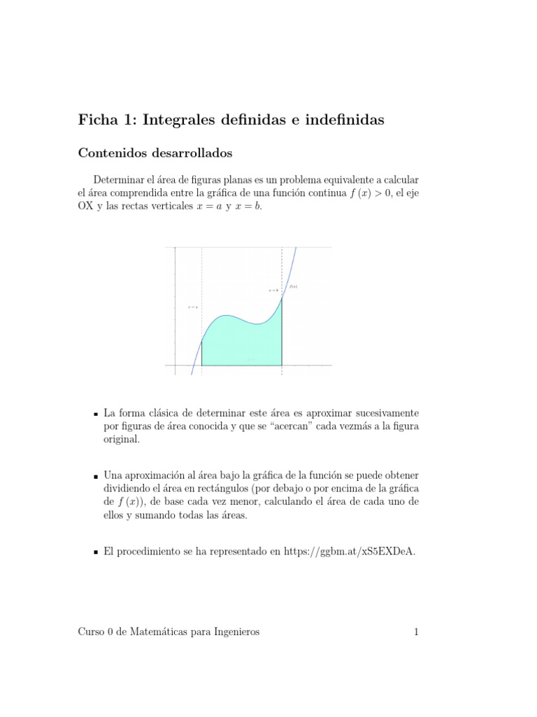 Integrales Definidas e Indefinidas: Guía Completa | PDF | Integral ...