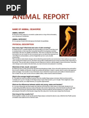 Animal Report