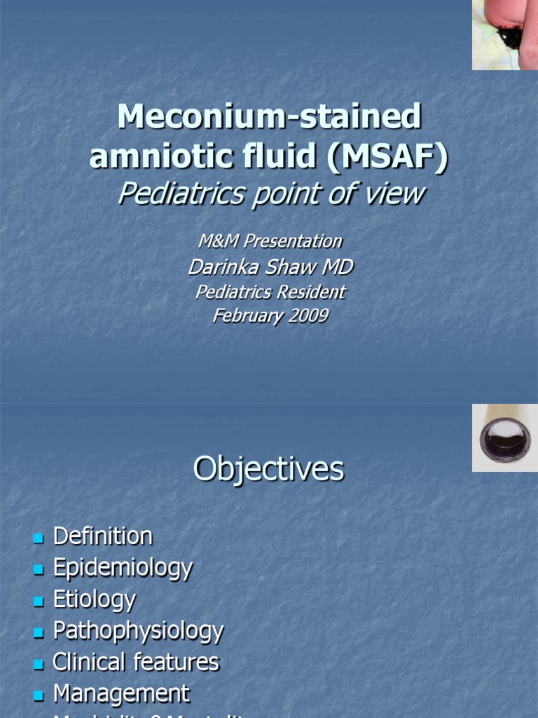 Meconium-Stained Amniotic Fluid Overview | PDF | Nitric Oxide | Lung