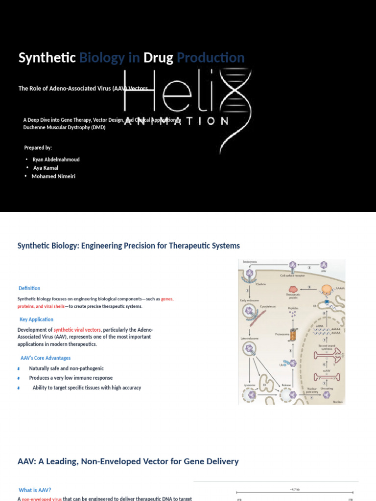 Wa0069000 | PDF | Gene Therapy | Viral Vector