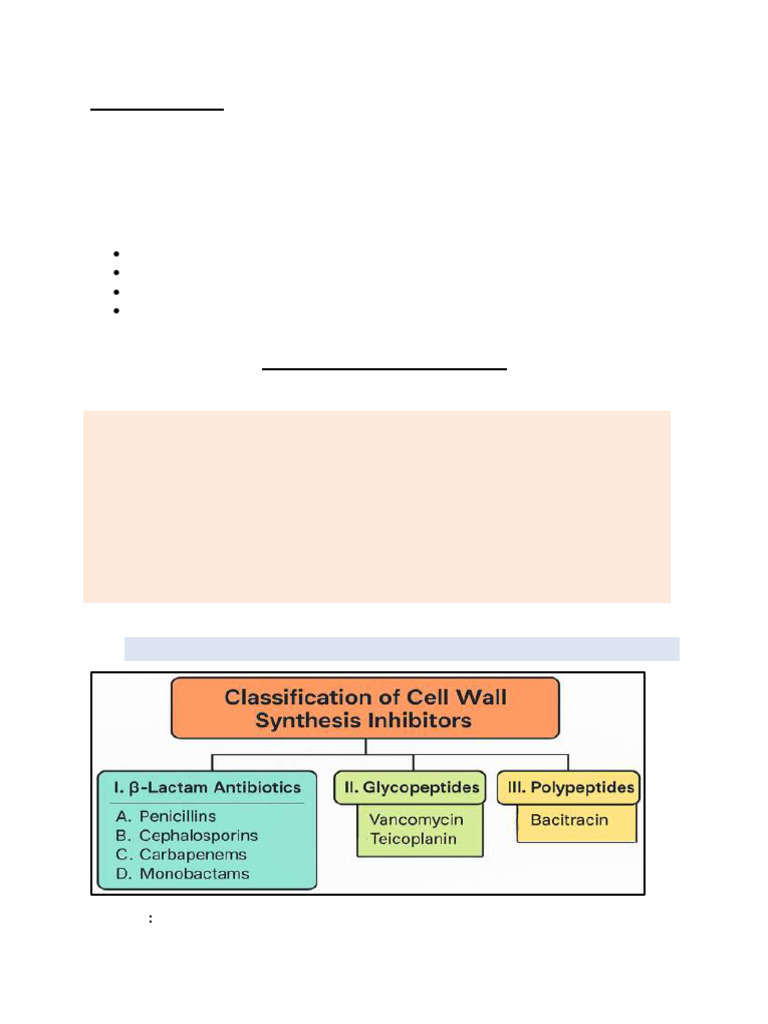 Overview of Antimicrobial Drugs | PDF | Penicillin | Beta Lactamase