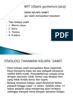 Fisiologi Sawit