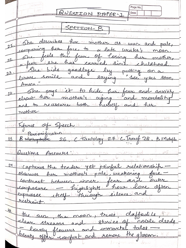 Gala English Section B Solution | PDF