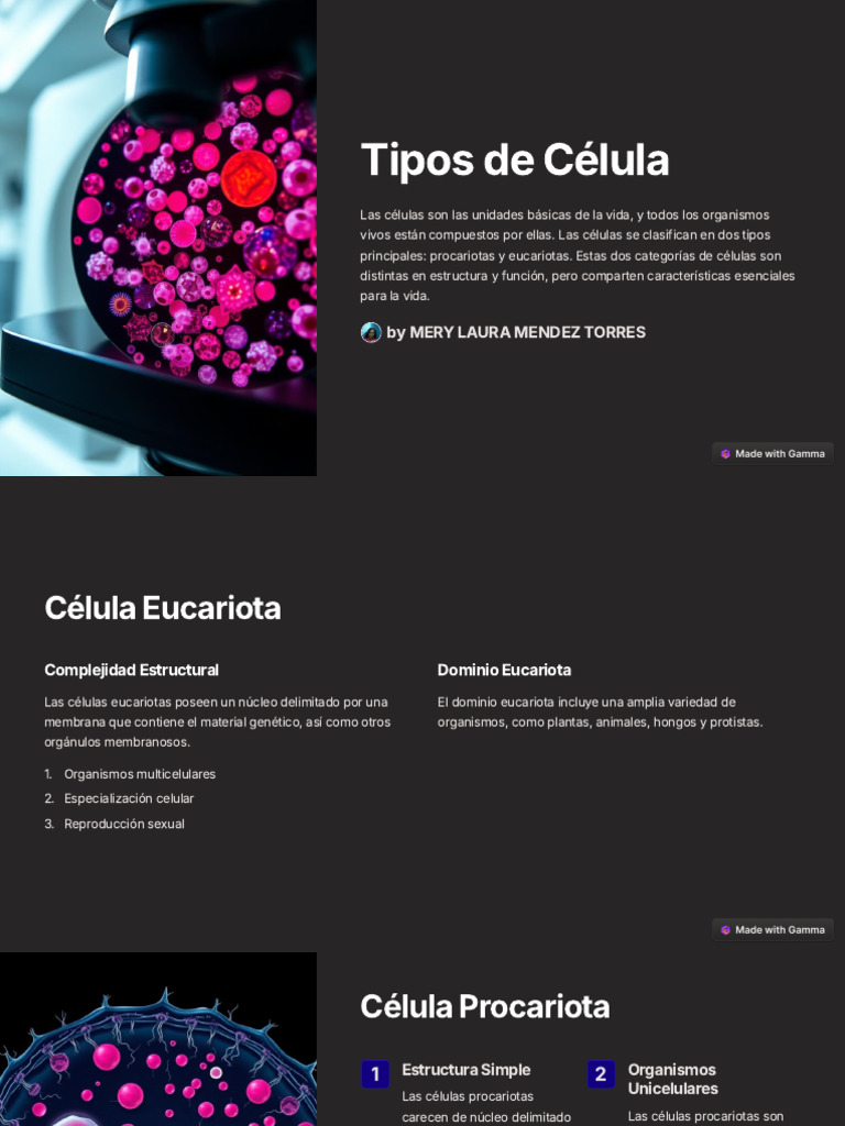 Tipos y Estructura de Células Vivas | PDF | Biología Celular) | Nucleo ...