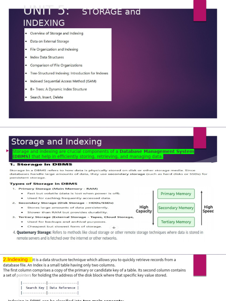 DBMS Storage and Indexing Techniques | PDF | Database Index | Databases