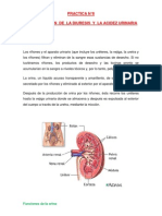 Determinación de La Diuresis y La Acidez Urinaria