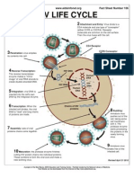 Hiv Life Cycle: Fact Sheet Number 106