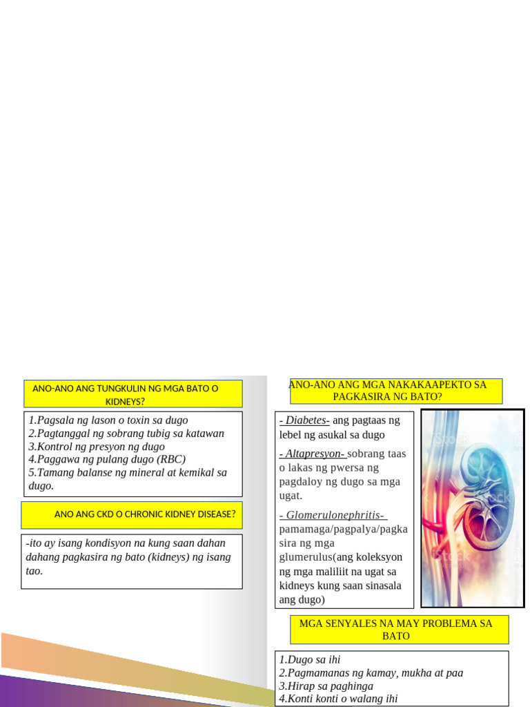 CKD Pamphlet | PDF
