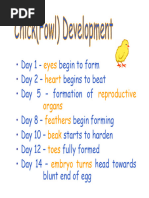 Hamburger-Hamilton Stages of Chick Development | PDF | Morphology ...